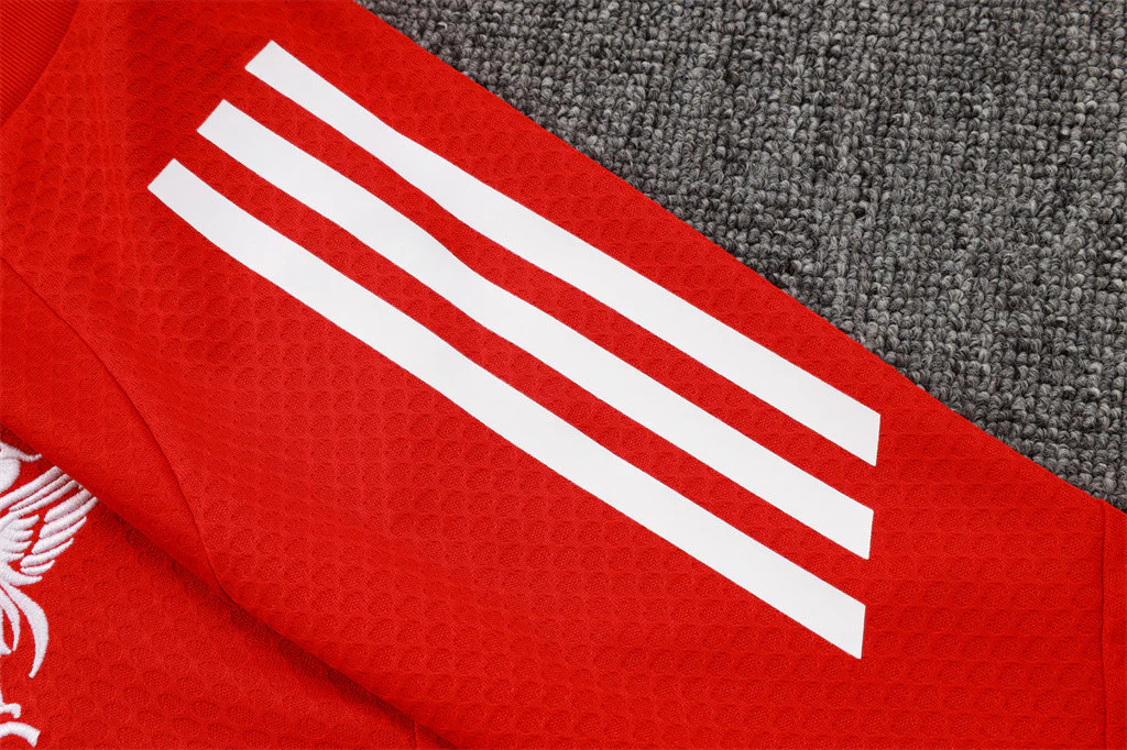 Liverpool Training Short sleeve Jersey 24/25 - Image 5